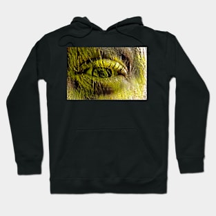 Squint Style 15 Hoodie